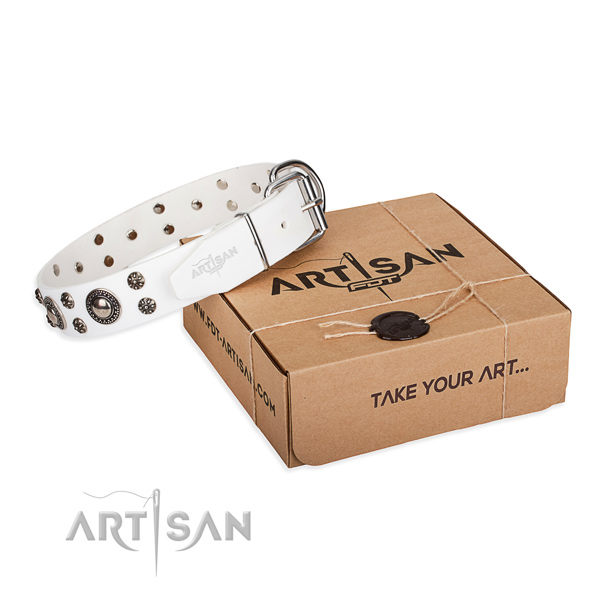 Stylish full grain genuine leather dog collar for daily use