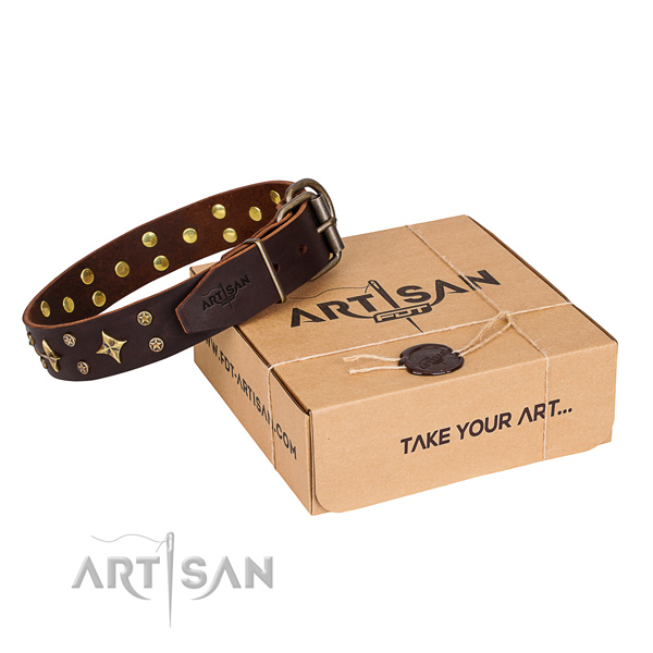 Decorated full grain natural leather dog collar for stylish walking