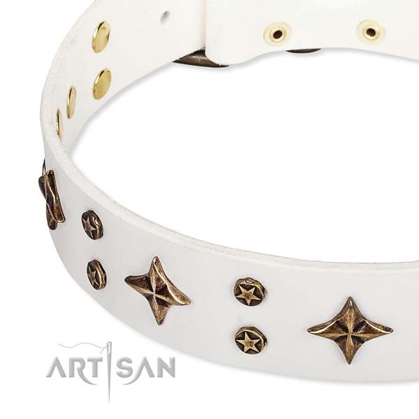 Full grain natural leather dog collar with impressive adornments