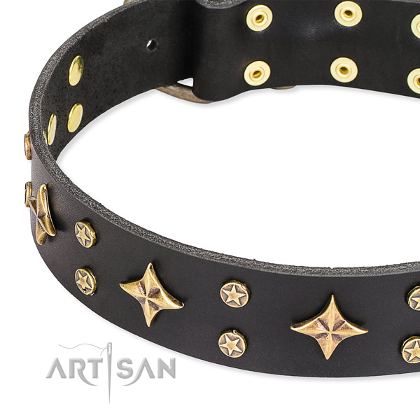 Full grain leather dog collar with significant studs