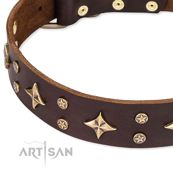 Full grain genuine leather dog collar with incredible decorations