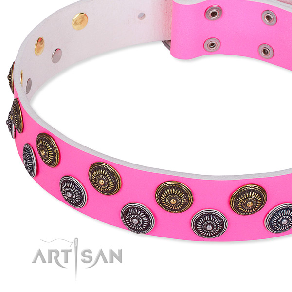 Full grain leather dog collar with top notch adornments