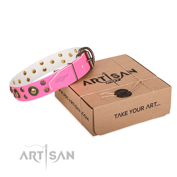 Full grain genuine leather dog collar with studs for stylish walking