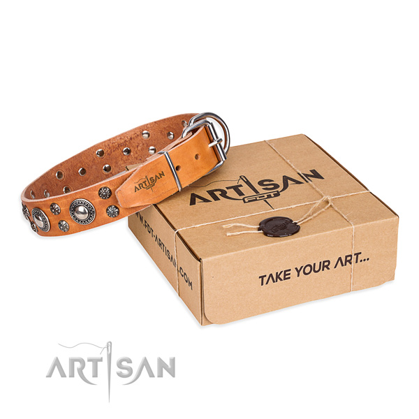 Trendy genuine leather dog collar for walking in style