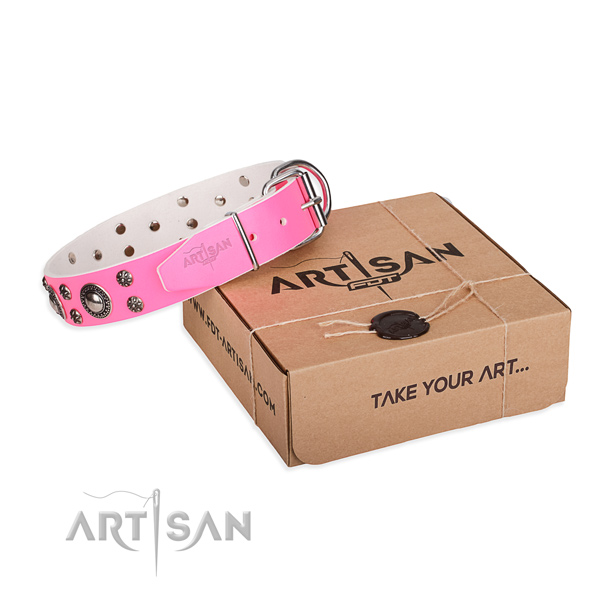 Designer full grain genuine leather dog collar for everyday use