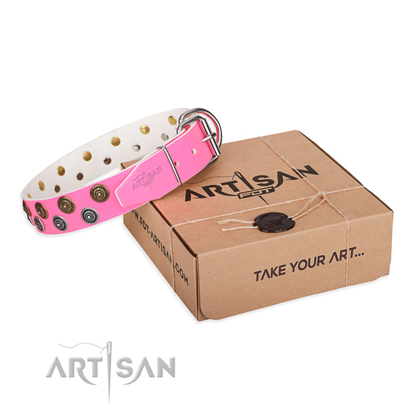 Studded genuine leather dog collar for everyday walking