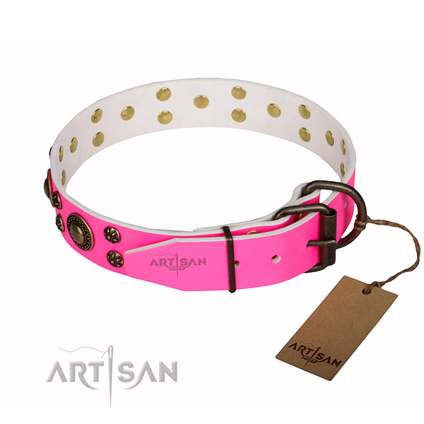 Inimitable genuine leather dog collar for everyday use