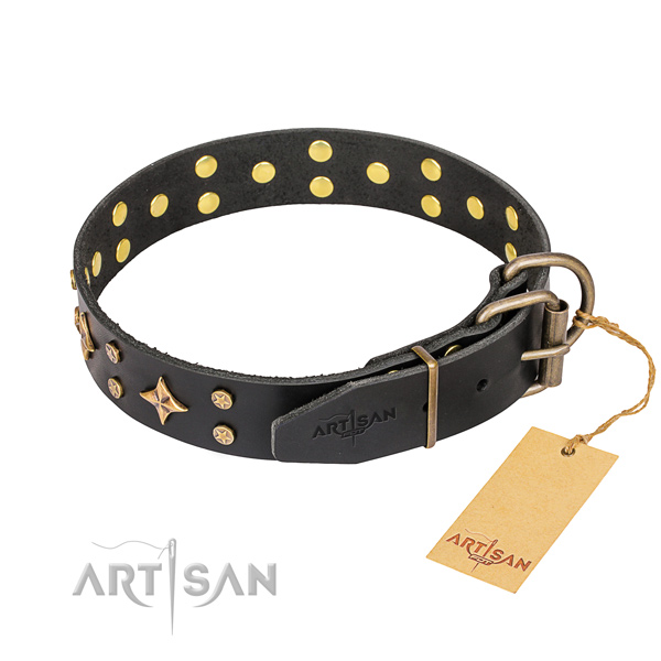 Everyday walking full grain leather collar with embellishments for your canine