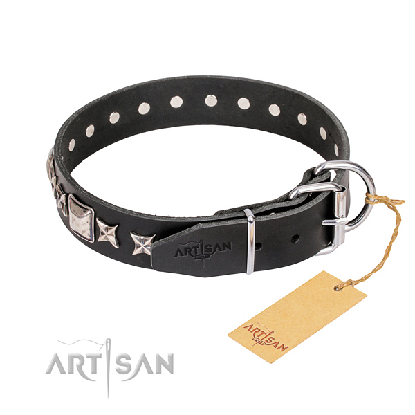 Stylish walking full grain leather collar with studs for your four-legged friend