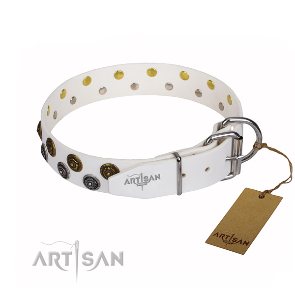Walking leather collar with adornments for your canine