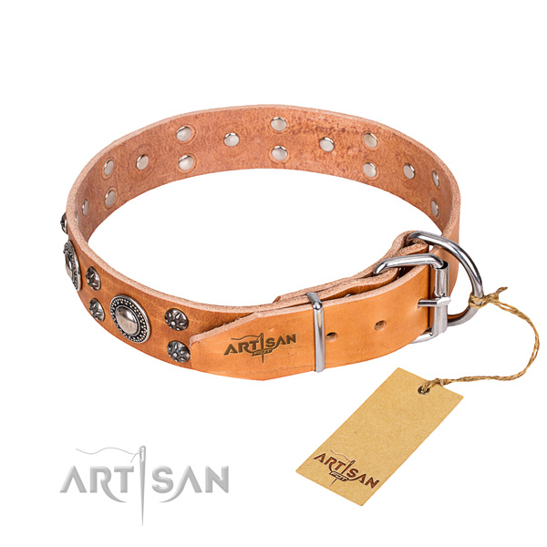 Everyday use leather collar with studs for your doggie