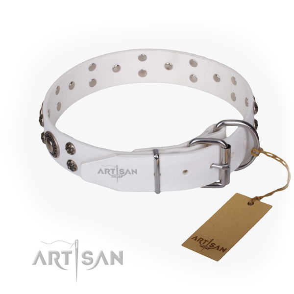 Everyday walking full grain leather collar with adornments for your canine