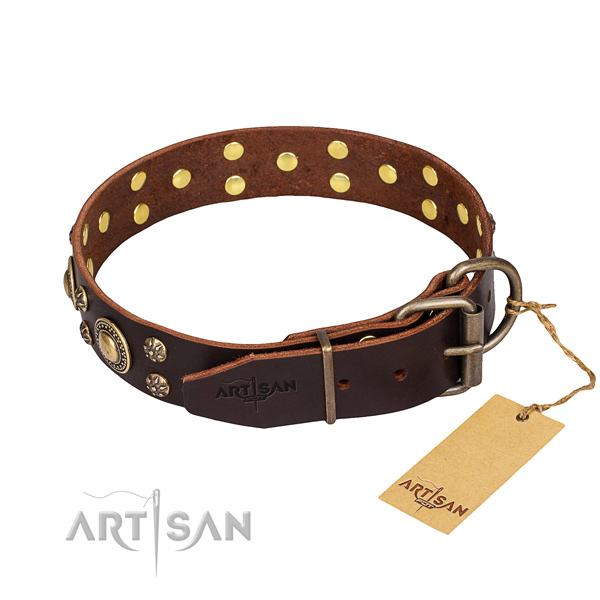 Walking full grain leather collar with embellishments for your doggie