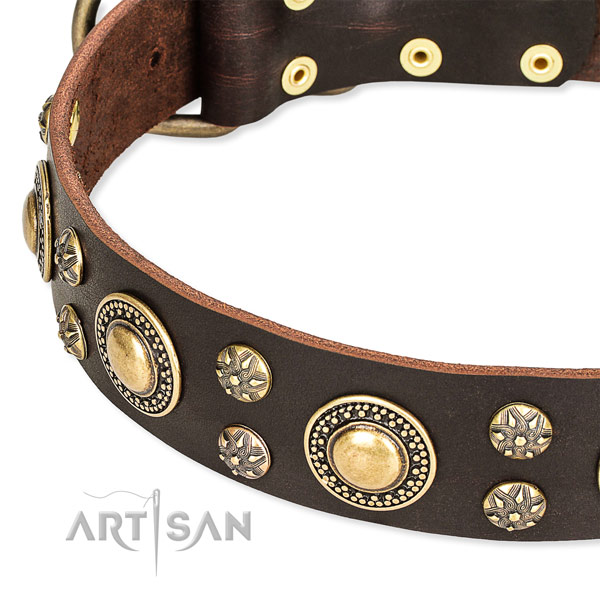 Leather dog collar with awesome studs