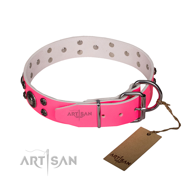 Daily use full grain leather collar with corrosion proof buckle and D-ring