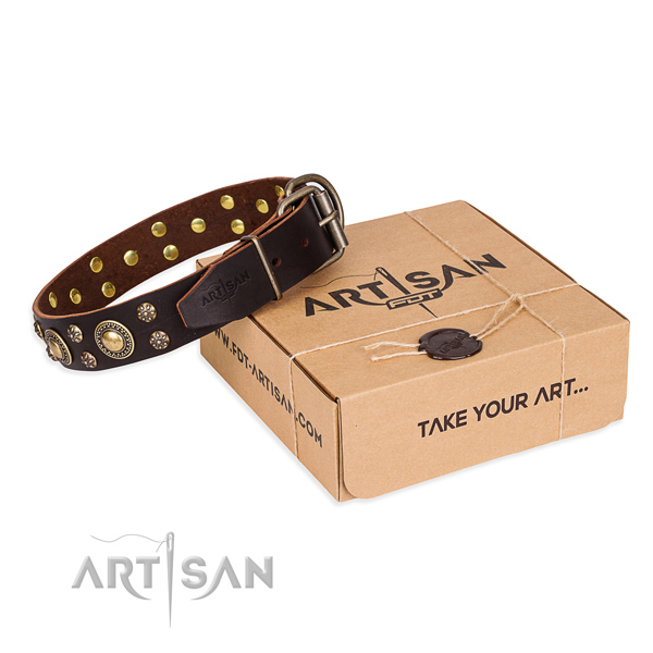 Fashionable full grain natural leather dog collar for stylish walking