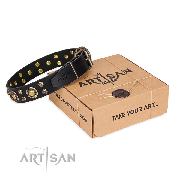 Fashionable full grain genuine leather dog collar for stylish walks