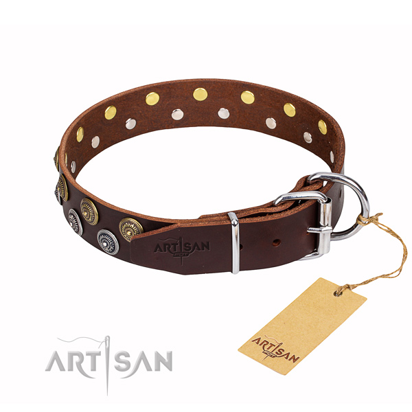 Walking genuine leather collar with studs for your pet