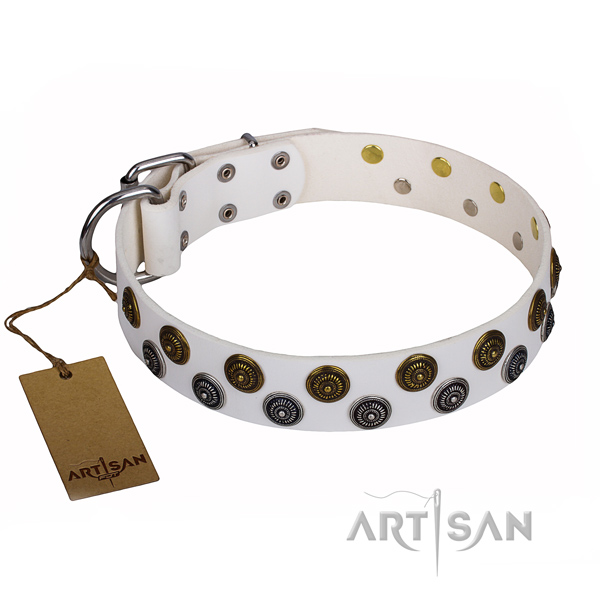 Extraordinary full grain leather dog collar for daily use