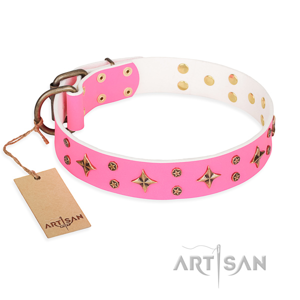 Unusual full grain natural leather dog collar for walking