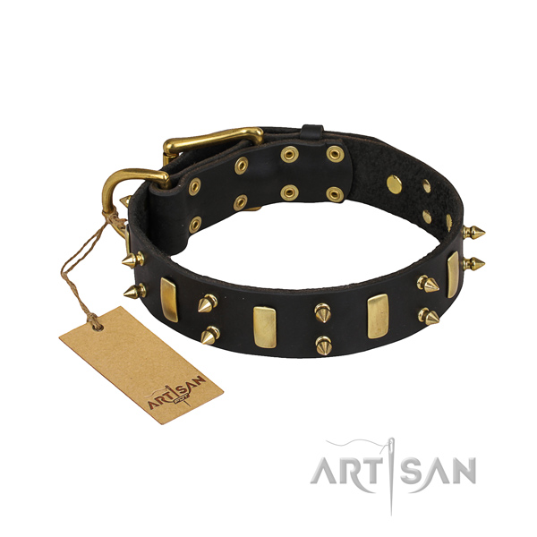 Tough leather dog collar with corrosion-resistant fittings