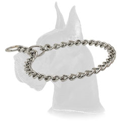 Great Dane Choke Collar of Strong Material