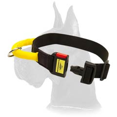 Quality Nylon Collar