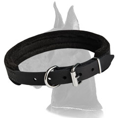 Upgraded Great Dane Leather Collar