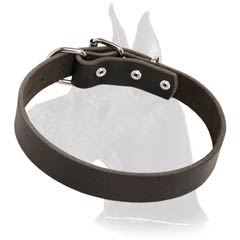 Topnotch Great Dane Leather Dog Collar