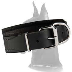 Comfy Great Dane Leather Dog Collar