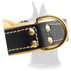 Quality Great Dane Leather Collar
