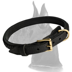 Narrow Great Dane Leather Dog Collar