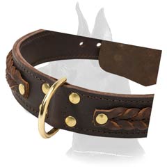 Stunning Great Dane Leather Dog Collar