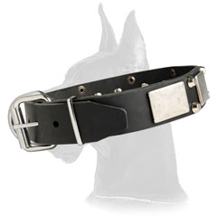 Great Dane Leather Collar with firm hardware