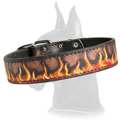 Leather Collar for Great Dane Breed