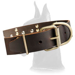 Great Dane Leather Canine Collar