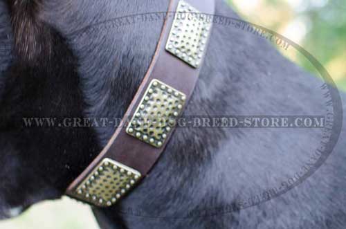 Great Dane Leather Dog Collar