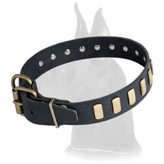 High-quality Great Dane Leather Dog Collar