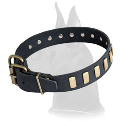 Quality Great Dane Leather Dog Collar