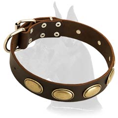 Trendy Great Dane Leather Dog Collar