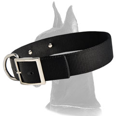 Great Dane Nylon Collar for walking