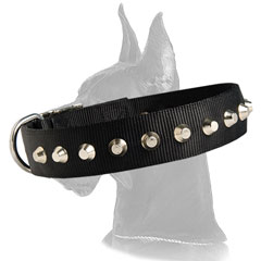 Great Dane Nylon Collar with firm hardware