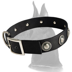 Great Dane Nylon Dog Collar