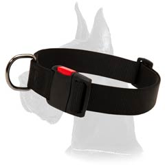 Everyday Great Dane Nylon Dog Collar