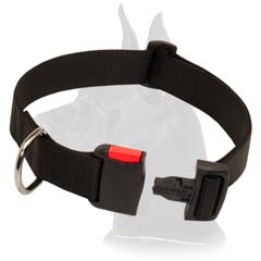 Handy Great Dane Nylon Dog Collar