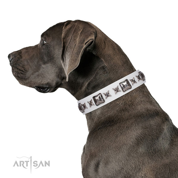 Exquisite studded leather dog collar for daily use