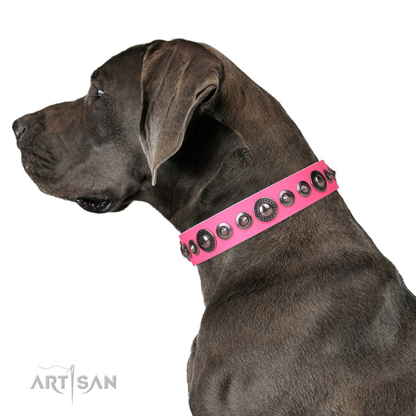 Remarkable studded natural leather dog collar for comfy wearing