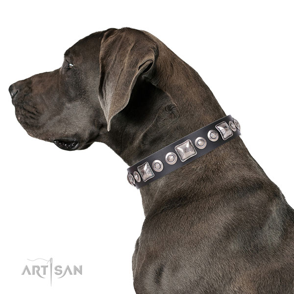 Designer embellished natural leather dog collar for daily walking