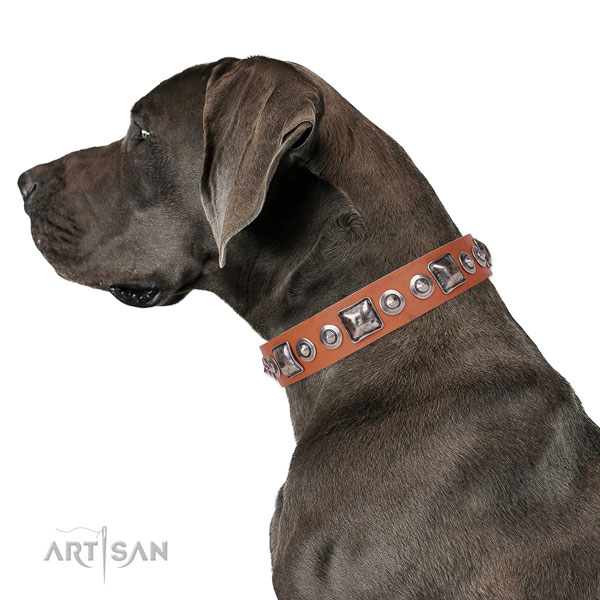 Stunning decorated natural leather dog collar for daily walking