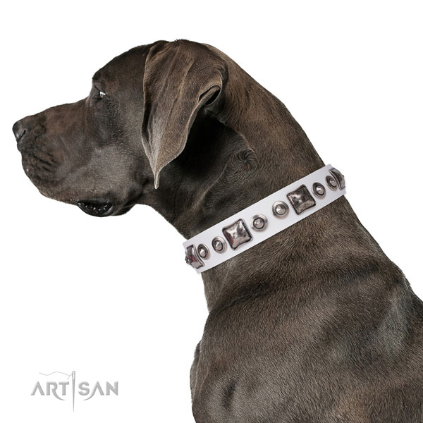 Amazing adorned natural leather dog collar for stylish walking